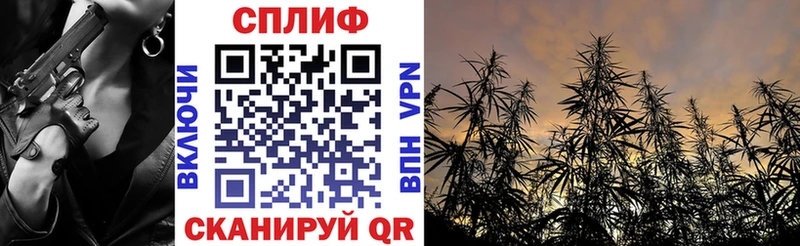 Бошки Шишки семена  Тихорецк 